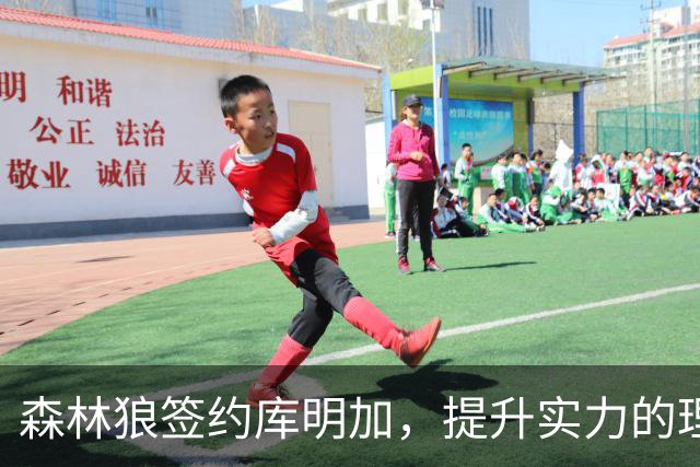 森林狼签约库明加，提升实力的理想之选